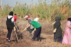 Agroforestry for Food Security